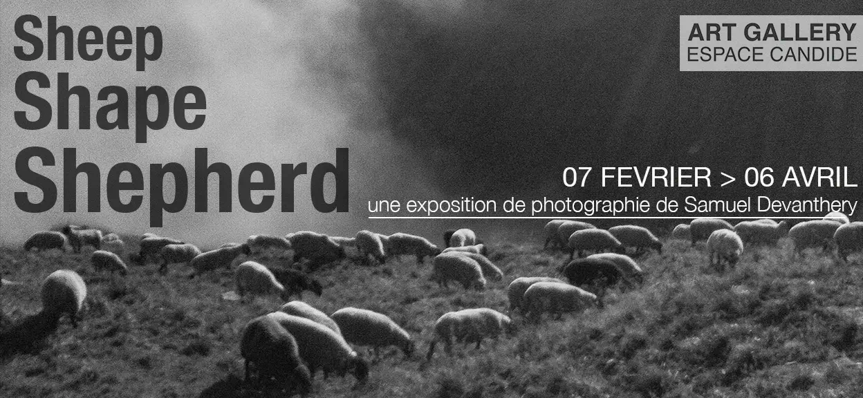 image Sheep, Shape, Shepherd